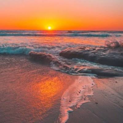 三张牌下载金花免费手机app下载